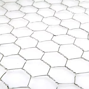 Grillage hexagonal de gabion de poulet