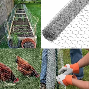 Grillage hexagonal enduit de PVC de cage de lapin/poulet