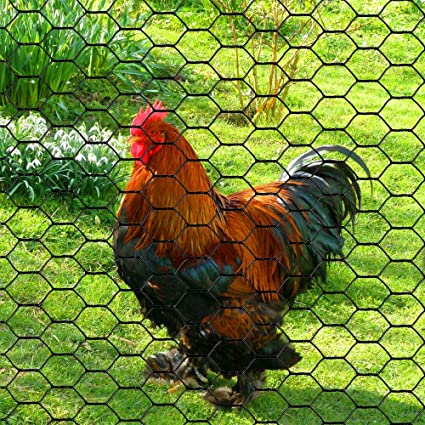 Grillage galvanisé/maille hexagonale galvanisée enduite de poulet de grillage de PVC