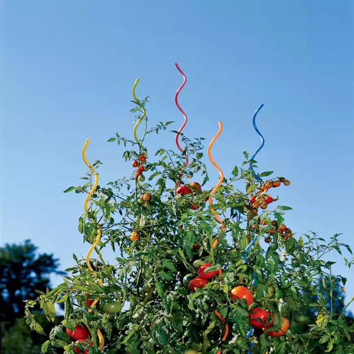 Soutien aux tomates