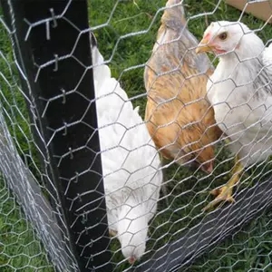 Grillage hexagonal enduit de PVC de cage de lapin/poulet