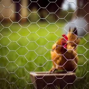 Grillage hexagonal galvanisé ou galvanisé par PVC de clôture de jardin de fil de poulet d'acier inoxydable