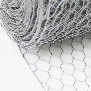 Grillage hexagonal de gabion de poulet