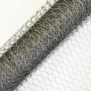 Grillage galvanisé/murs de gabion et acier inoxydable Gabion et grillage hexagonal de gabion de poulet